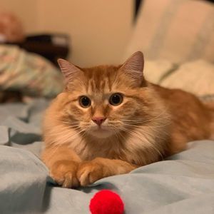 Meet your Posher, Taylor